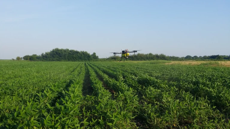 Agro-Dron - Prskanje Soje-1